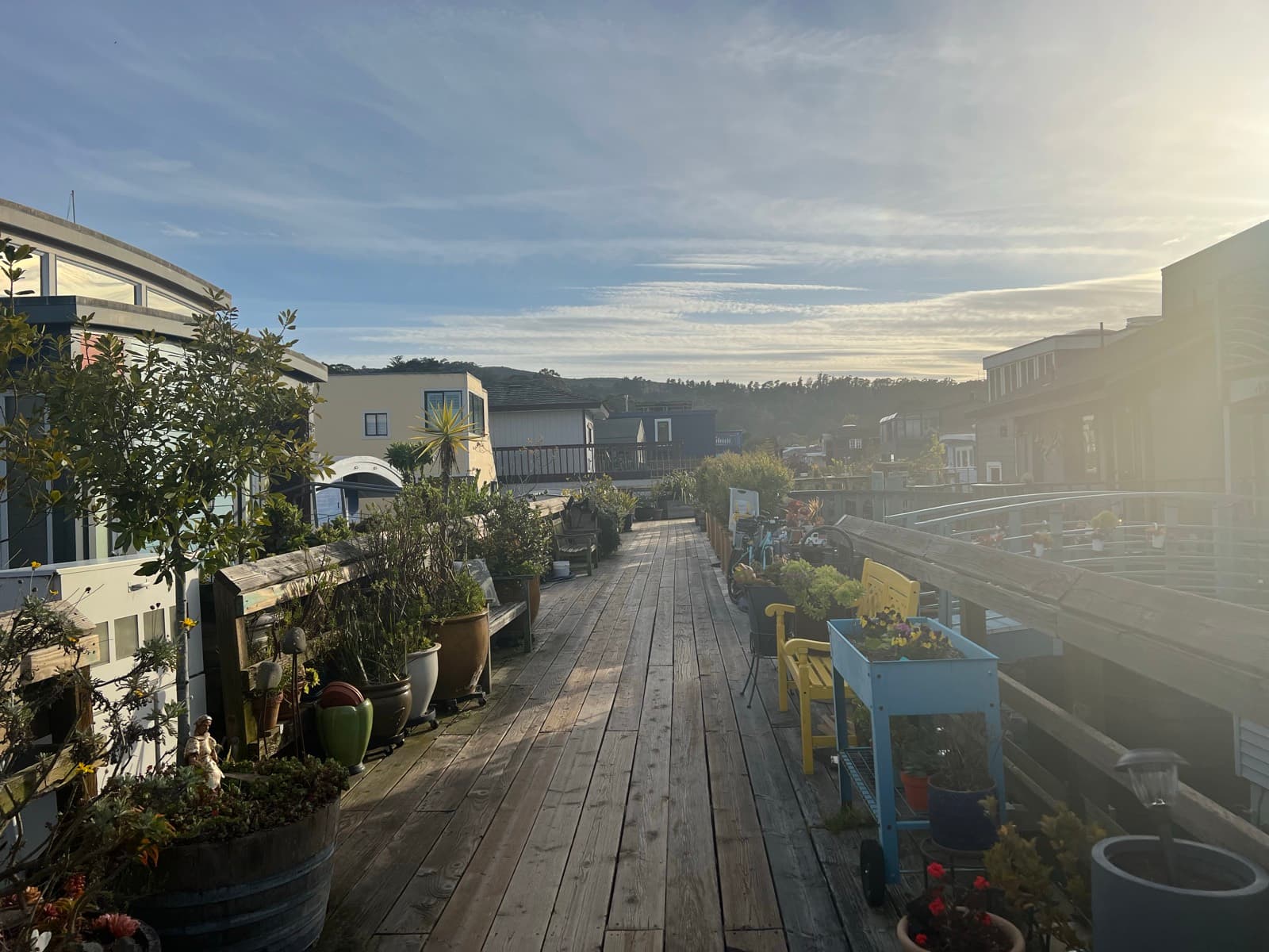 A houseboat boardwalk in Sausalito lined with potted plants in golden evening light