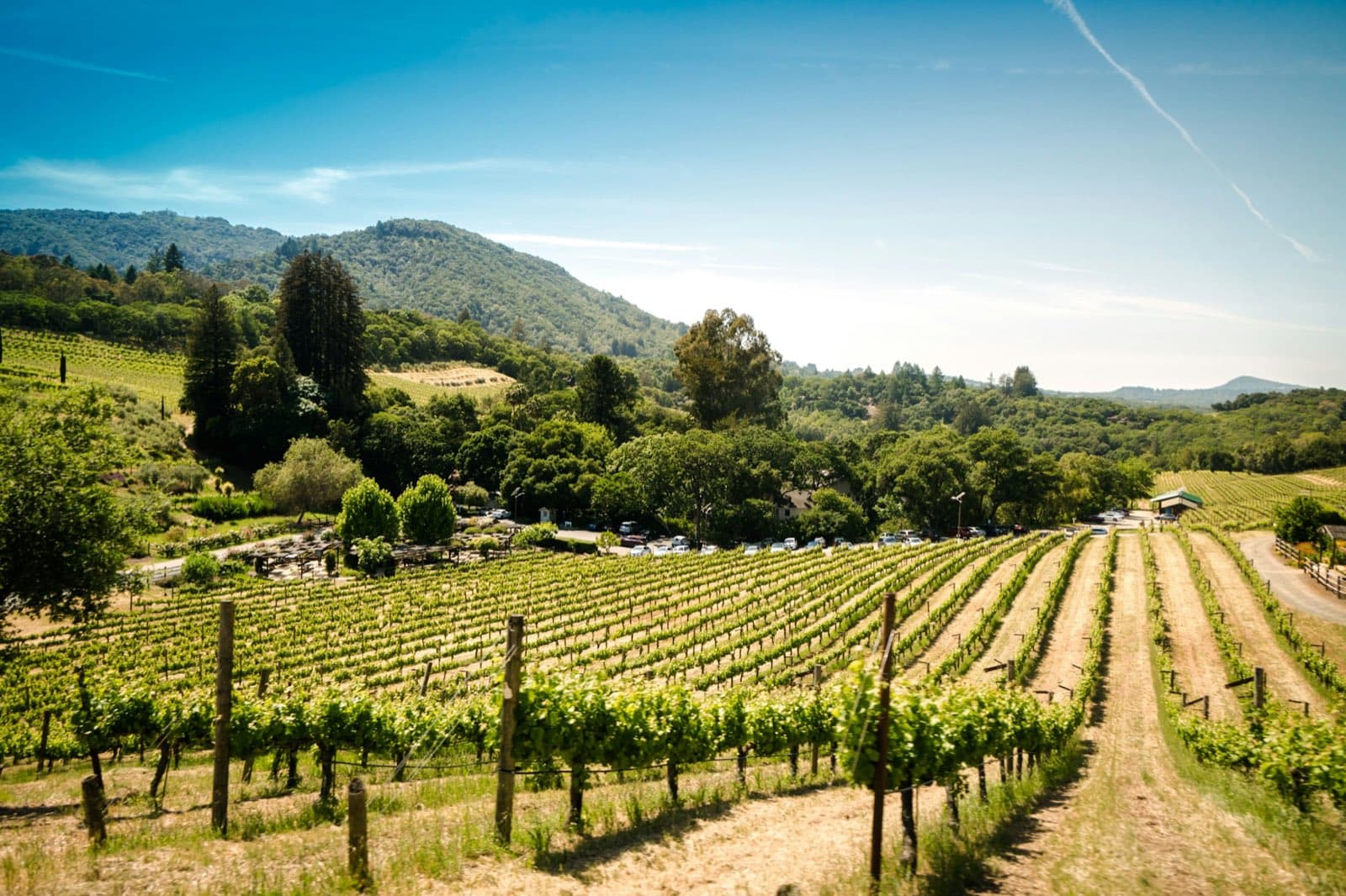 Rolling Sonoma County farmland and vineyards in Wine Country